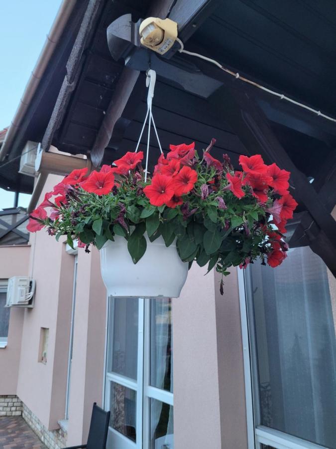 Anda Vendeghaz Hotel Harkány Exterior photo