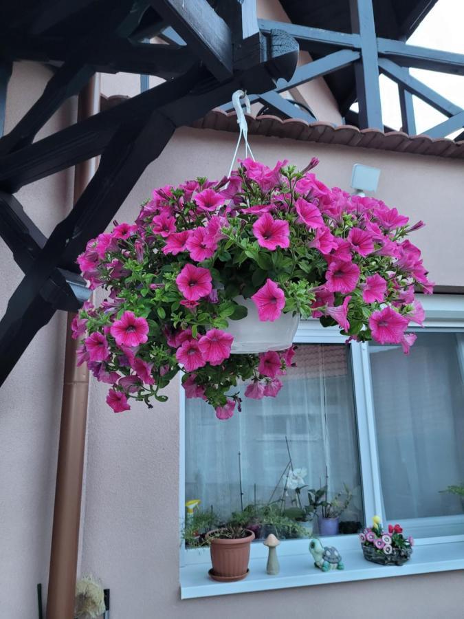 Anda Vendeghaz Hotel Harkány Exterior photo