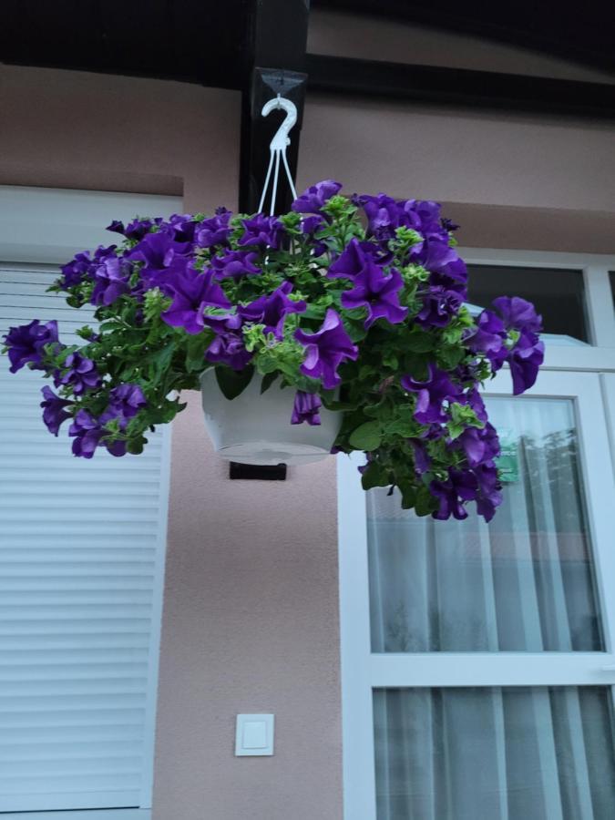 Anda Vendeghaz Hotel Harkány Exterior photo